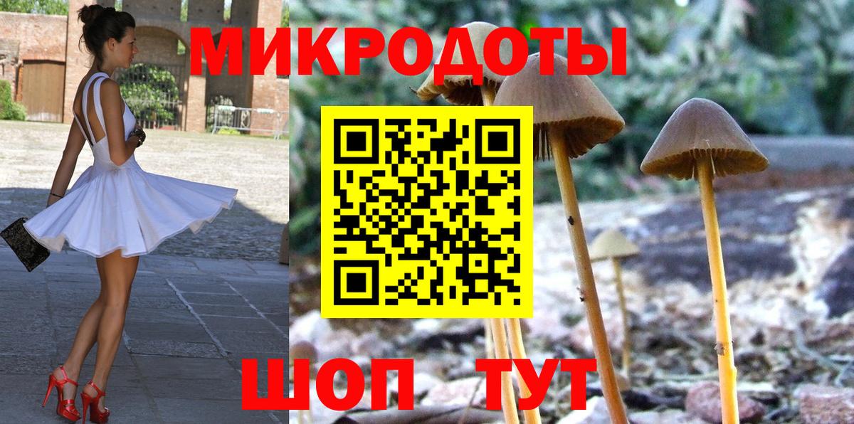Александров  Галлюциногенные грибы мицелий  Галлюциногенные грибы Cubensis  где найти   Вход с VPN 