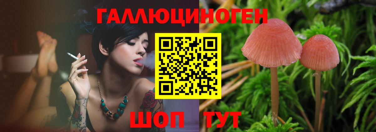 Псилоцибиновые грибы Magic Shrooms Александров